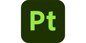 Painter